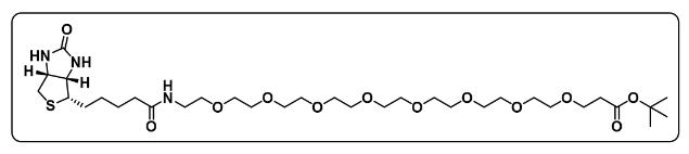 Biotin-PEG8-Boc 生物素-八聚乙二醇-叔丁酯