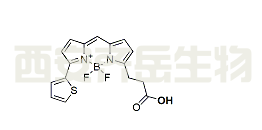 cas:  150173-72-1，BDP 558/568 carboxylic acid