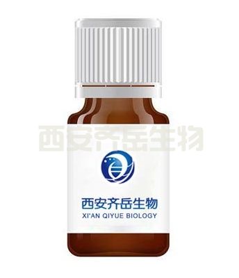 PTX-SS-VE (Paclitaxel-Disulfide-Vitamin E)   紫杉醇-二硫键-维生素E复合物