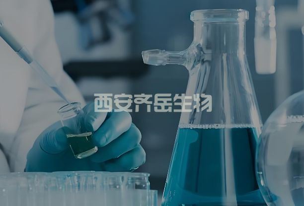 DSPE-PEG-HHC36，DSPE-PEG-KRWWKWWRR，磷脂-聚乙二醇-阳离子抗菌肽