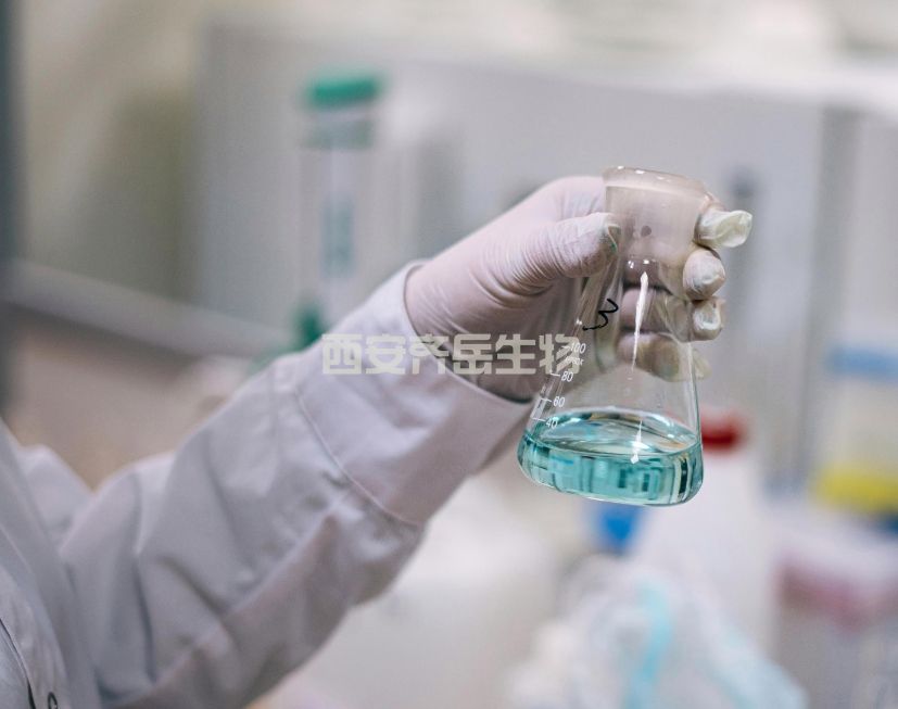 定制技术