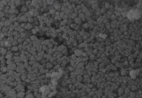 Gold Nanorods，长径比为5（浓度0.5mg/ml）