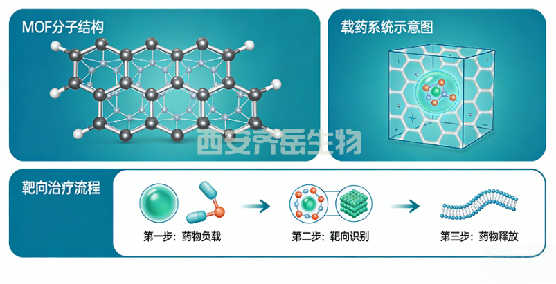 定制化 MOF 载药系统